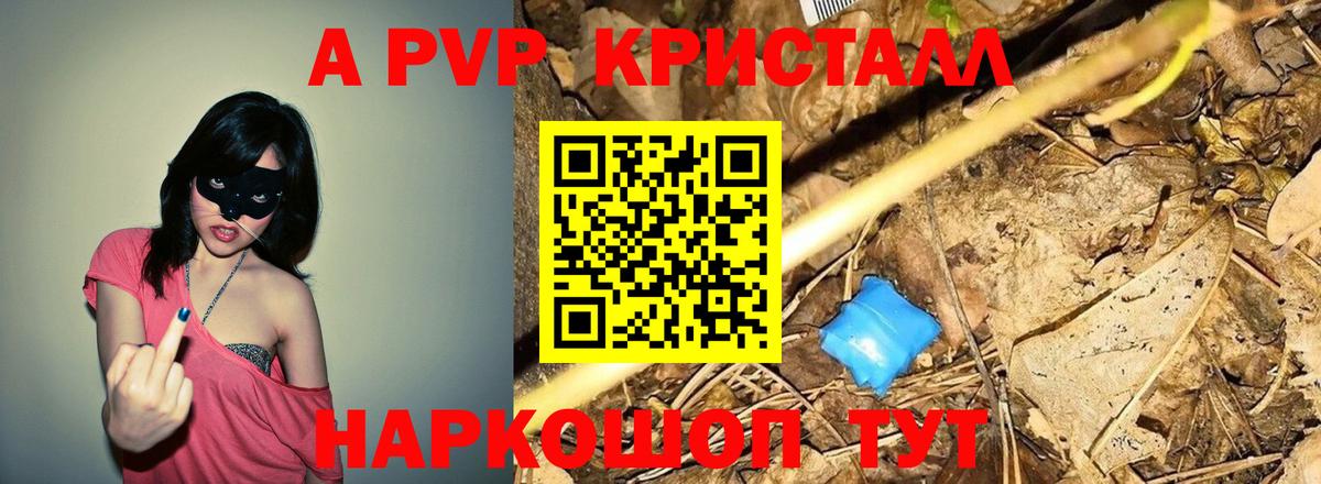 Alfa_PVP СК КРИС Кореновск