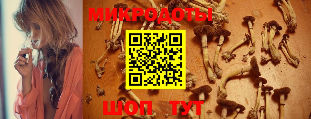 Кореновск  Галлюциногенные грибы MAGIC MUSHROOMS  Галлюциногенные грибы GOLDEN TEACHER  Вход с VPN 